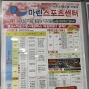 마린 스포츠센터 | 초등학생수영강습#마린스포츠센터#노원어린이수영