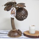 비다펠리즈(VIDA FELIZ) 이미지