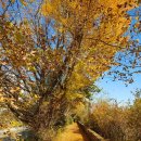 비산 빗물펌프장 이미지