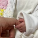 (주)가톨릭응급 | 대구가톨릭대학 제왕절개 입원기록 식사 NICU 인큐베이터 태반조기박리