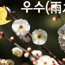 소나무세상 이미지