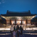 연화 | 2025 창경궁 야간개장 물빛연화 후기