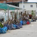 인월1길 이미지