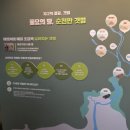 순천만힐링 | [ 순천자연생태관&amp;천문대 ] 순천만습지 방문했다면 꼭! 순천 자연생태관 관람후기