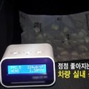 세차의달인 이미지