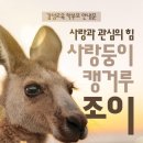 조이태권도장 이미지