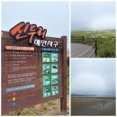 식물A | 태안 신두리 해안사구 아이와 걷기 좋은 1시간 A코스 탐방 후기