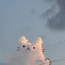 그랩컴퍼니 네이버블로그