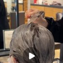 주니스수아