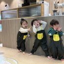 키즈더웨이브