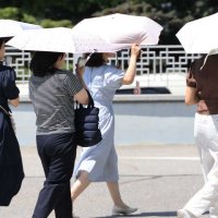 올여름 평년보다 덥다‥5월부터 잦은 '이상고온'