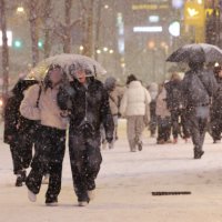 주말 '큰눈' 온다…토요일 서울 1∼5㎝·강원일부 10㎝