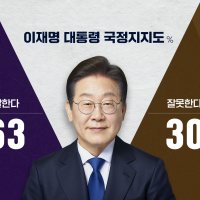 [SBS 설 여론조사] 이 대통령 국정지지율 63%…지선 '여 53%·야 38%'