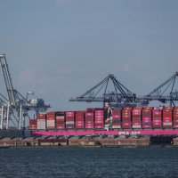 “대통령 때문에 경영계획을 못 짠다”…예측불허 트럼프에 우는 美기업