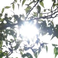 [날씨] 오늘 어제보다 기온 더 올라, 서울 32℃...주말까지 더위 이어져