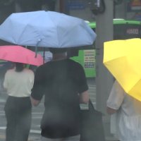 광복절 연휴 남부 200mm 호우...남쪽 '수증기 통로' 열린다