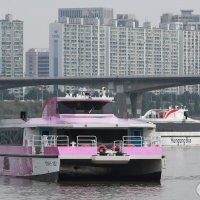 [단독] SH, 한강버스 재정건전성 강화한다...지분율 51%→80% 추진