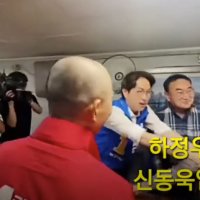 국힘 신동욱 "하정우 화이팅!"…친한계 "뭐지? 이정도까지 ㄷㄷ"