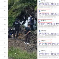 "짱O 장기밀매" "경장이 살해"…추측성 '제주괴담' 번지는 이유[뉴스럽다]