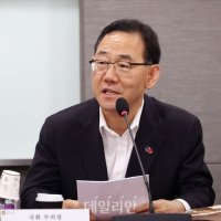 주호영 "당명 변경, '포대 갈이'일 뿐…잘못된 것 완전 절연해야"