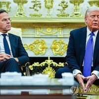 "트럼프, 나토 '착한·나쁜동맹' 명단 마련"…파병거부 보복할까
