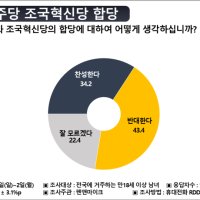 민주·조국혁신당 합당 "찬성" 34.2% vs "반대" 43.4% [펜앤여론조사]