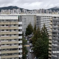 38억에 팔렸는데 이젠 7억이나 '뚝'…"집 팔래" 은마 매물 3.7배 급증