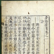 백과사전 검색결과 썸네일