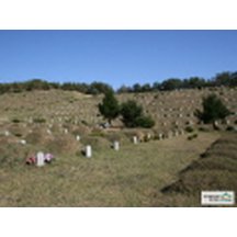 백과사전 검색결과 썸네일