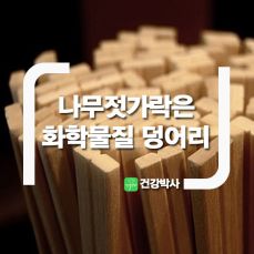 나무와쉬리 이미지