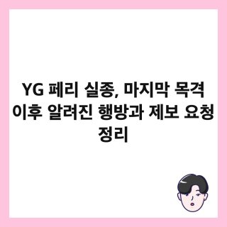 YG 페리 실종 관련 이미지