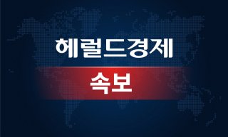 계엄 국무회의 관련 이미지