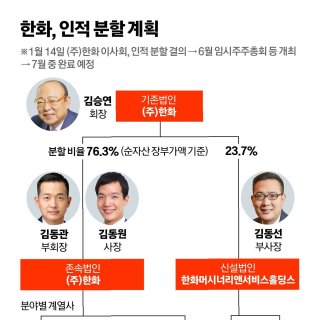 카카오 인적분할 관련 이미지