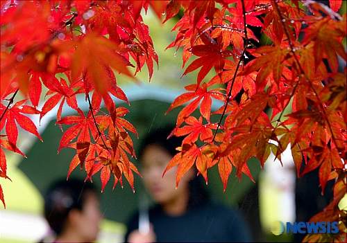 ��� �̹���