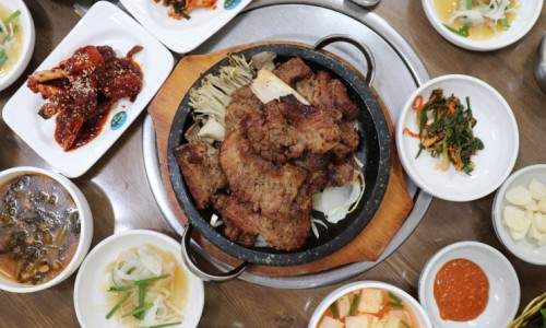 쑥캐기 쑥 많은곳 , 대전근교 금강 근처