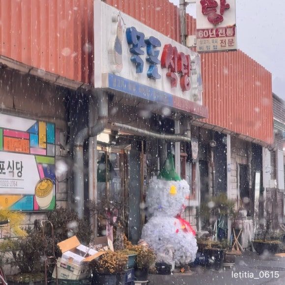 함평 육회비빔밥 맛집 목포식당 담백한 선지국이 기본이야
