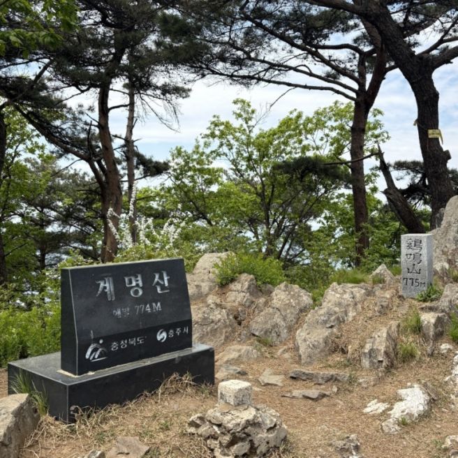 충북 블랙야크100대명산 충주 계명산 최단코스 마즈막재 등산 후기