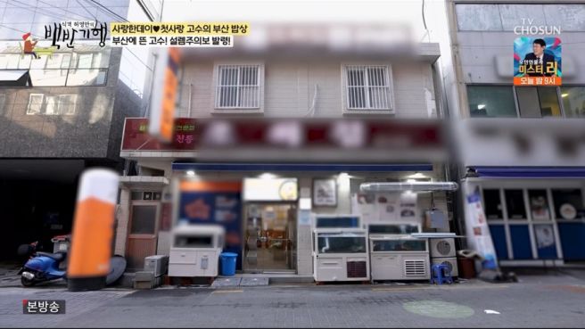 부산 남구 대연동 회정식 맛집 궁중해물탕 조씨집 67년 전통 회백반 15,000원 실화