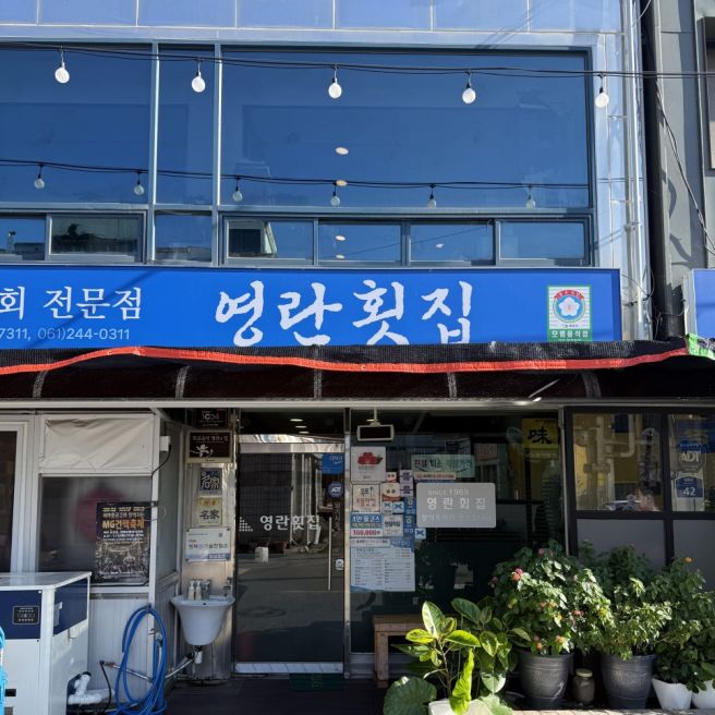 목포 영란횟집 내돈내산 민어회로 든든하게 몸보신한 후기