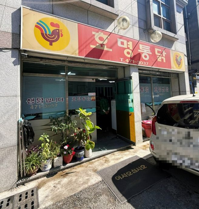🍗 대구 남구 치킨 맛집 추천, 뎡보통이 탈탈 털어온 '효명통닭' 후기!