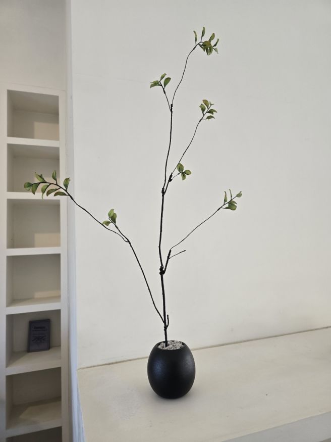 안동시 가볼 만한 곳 2곳 금강옥 안동본점, 브리즈커피하우스