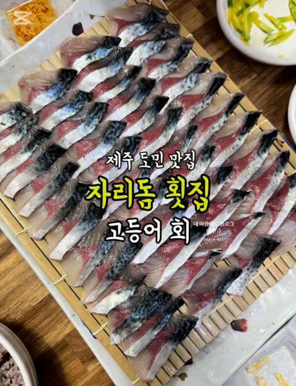 제주 자리돔횟집 서귀포시 맛집 고등어 회 맛집 제주 당일치기 제주 도민 맛집 추천 내돈내산
