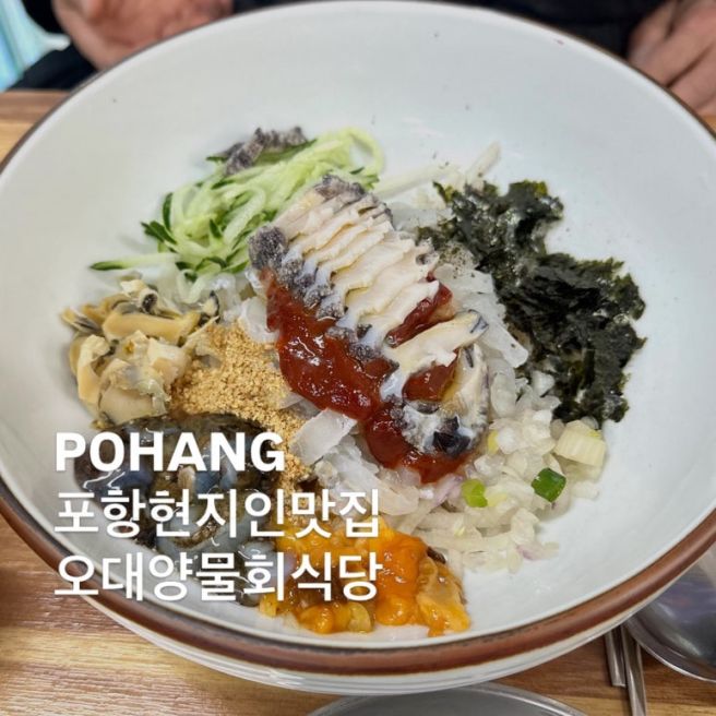 포항현지인맛집 전국3대물회 맛집 오대양물회식당