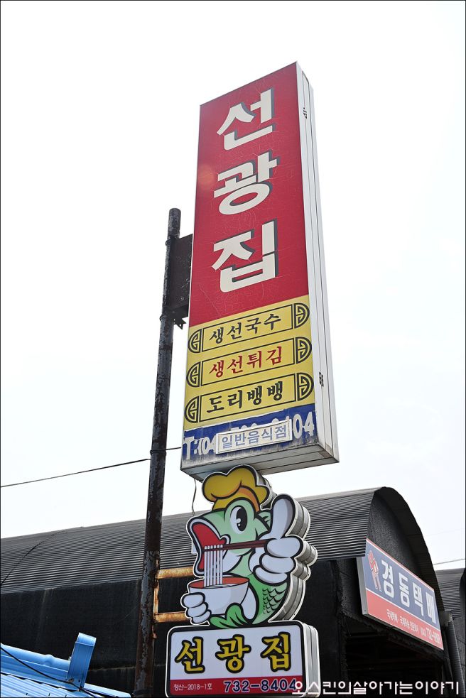 옥천 청산 맛집, 1962년 오픈 64년 전통 도리뱅뱅과 생선국수 전문 노포 선광집
