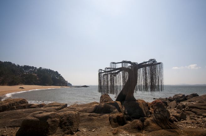 모도 이미지