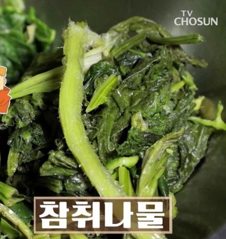 강원도 태백맛집 한밭식당 산나물가마솥밥, 김서방네닭갈비 물닭갈비, 구와우순두부식당, 현대실비 육회...