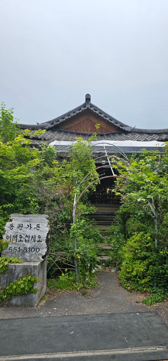 재천 현지인 맛집추천! 토종닭으로 만든 숯불닭갈비 동원가든