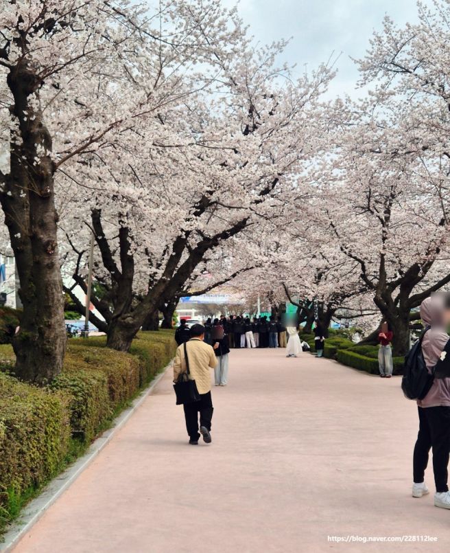 익산 황등 맛집 전현무계획 육회비빔밥 한일식당 현지인추천