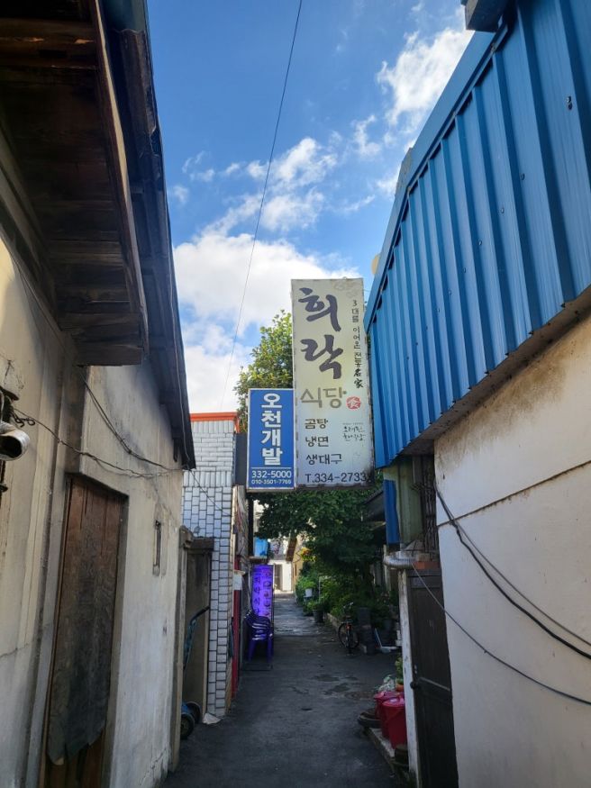 경북 영천 로컬 맛집 70년 전통 희락식당 육향 가득한 전통 물 고기 냉면 내 돈 내산 방문기