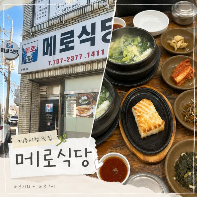 [제주/메로식당 제주시청본점] 담백한 메로구이와 메로지리 맛집!!🐟